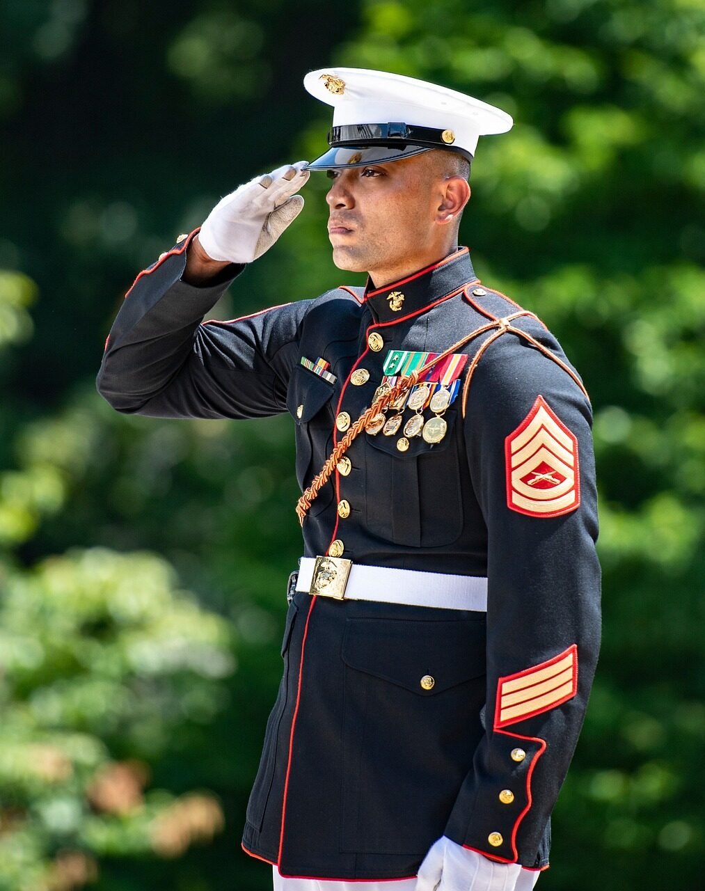 marines, man, usmc, military, uniform, salute, marine corps, soldier, american military, usa, usmc, salute, salute, salute, salute, salute, marine corps, marine corps, marine corps